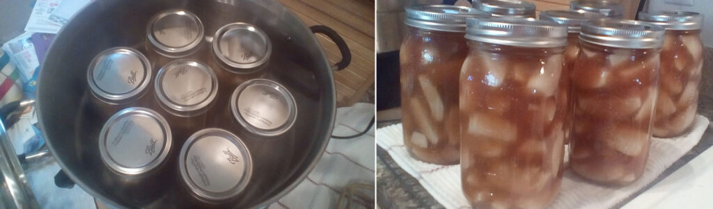 Prepared apple pie filling in canner, ready to begin processing (left image). Jars of apple pie filling sit undisturbed for 12 to 24 hours on towel on kitchen county (right image).