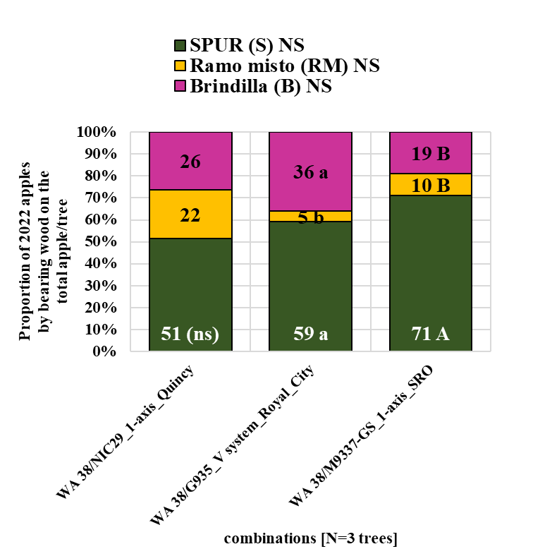 Figure 10 presents a graphic illustrating the proportion of WA 38 apples harvested from three bearing wood types—spur, ramo misto, and brindilla—across combinations evaluated in 2022. Data are based on three trees per combination across three sites. Spurs are represented in green, ramo misto in yellow, and brindilla in fuchsia. When comparisons are made horizontally among combinations within the same bearing wood type, no statistically significant differences are observed, as indicated by “NS.” However, when comparisons are made vertically within individual sites, significant differences among bearing wood types are observed for two of the three combinations. Fruit on spur ranges from 51% to 71%. Fruit on ramo misto ranges from 5% to 22%. Fruit on Brindilla from 19% to 36%. Lowercase letters indicate statistically significant differences among bearing wood types at the Royal City site, while uppercase letters indicate significant differences at the SRO site, based on the Student–Newman–Keuls (SNK) test at p = 0.05.