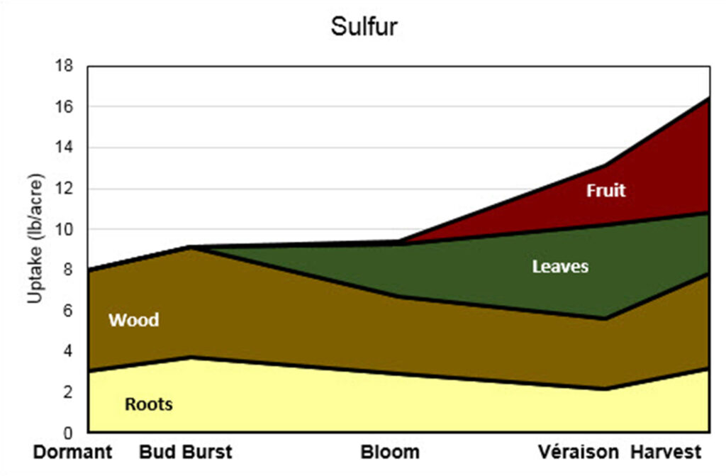 Stacked area graph titled “Sulfur” showing sulfur uptake (lb/acre) from Dormant to Harvest. Uptake increases gradually through the season, with fruit contributing most strongly after véraison.