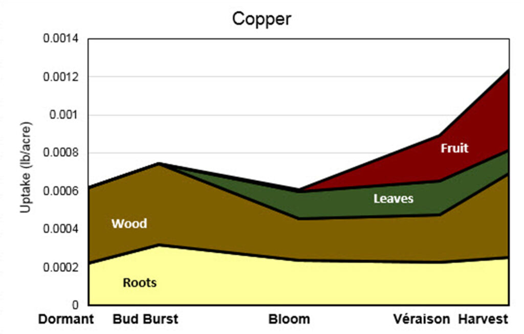 Stacked area graph titled “Copper” showing copper uptake (lb/acre) from Dormant to Harvest. Uptake peaks slightly at bud burst, dips at bloom, then increases toward harvest, with fruit contributing most strongly late in the season.