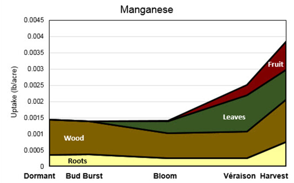 Stacked area graph titled “Manganese” showing manganese uptake (lb/acre) from Dormant to Harvest. Uptake remains low early in the season and increases steadily after bloom, with fruit contributing strongly by harvest.