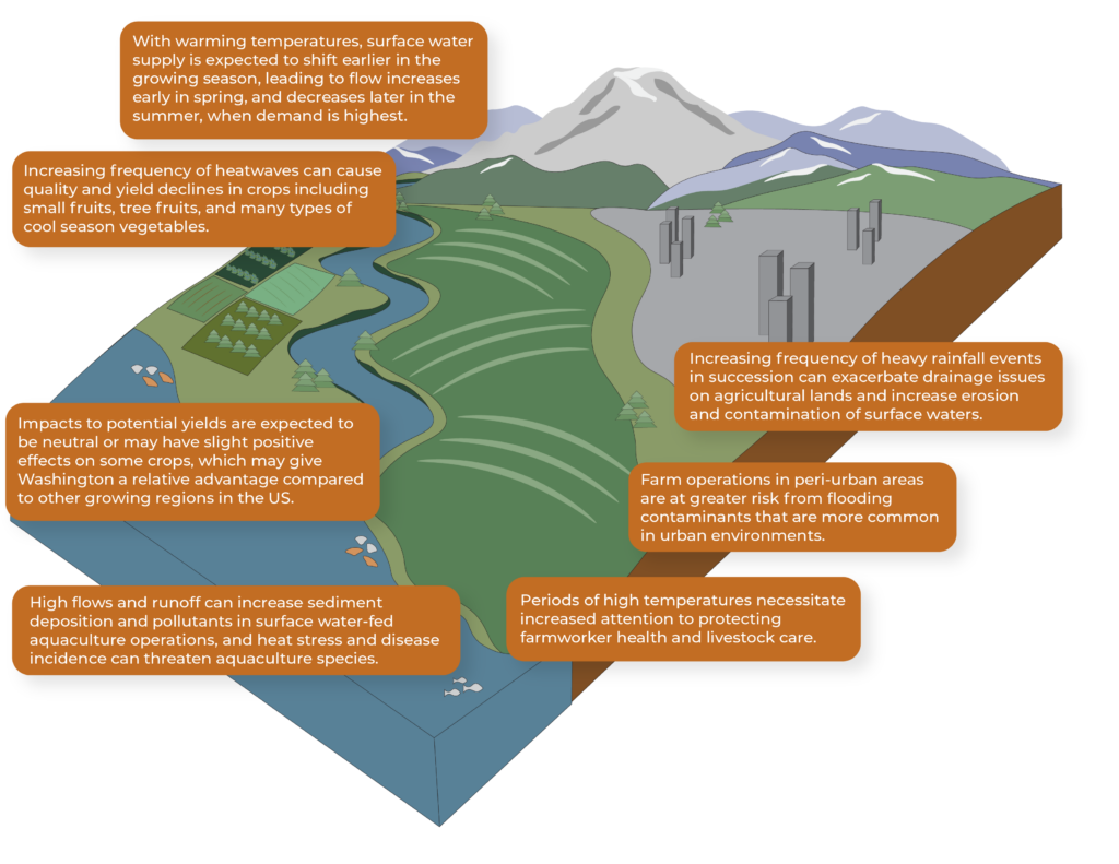 A graphical representation of western Washington’s agricultural systems is shown with the Cascade Mountain Range to the east. The image explains how climate change will impact these systems and includes the following text: Top left: With warming temperatures, surface water supply is expected to shift earlier in the growing season, leading to flow increases early in spring, and decreases later in the summer, when demand is highest. Upper middle-left: Increasing frequency of heatwaves can cause quality and yield declines in crops including small fruits, tree fruits, and many types of cool season vegetables. Left middle: Impacts to potential yields are expected to be neutral or may have slight positive effects on some crops, which may give Washington a relative advantage compared to other growing regions in the US. Bottom left: High flows and runoff can increase sediment deposition and pollutants in surface water-fed aquaculture operations, and heat stress and disease incidence can threaten aquaculture species. Bottom middle-right: Periods of high temperatures necessitate increased attention to protecting farmworker health and livestock care. Right middle: Farm operations in peri-urban areas are at greater risk from flooding contaminants that are more common in urban environments. Upper right: Increasing frequency of heavy rainfall events in succession can exacerbate drainage issues on agricultural lands and increase erosion and contamination of surface waters.