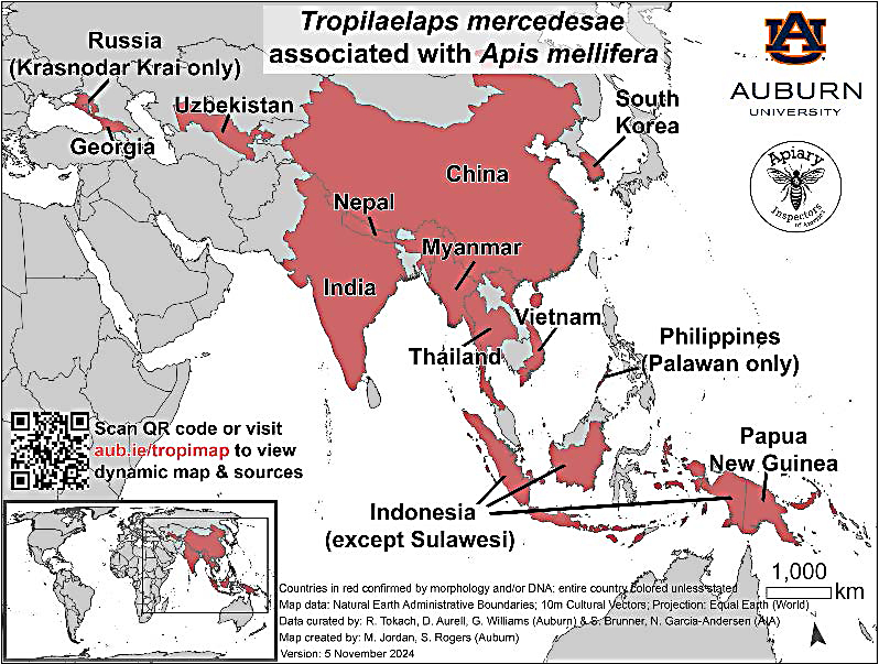 Map showing the estimated distribution of Tropilaelaps mercedesae associated with Apis mellifera in Asia and nearby regions.