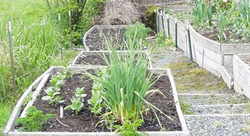 Wooden raised bed frames bulging out at the sides.