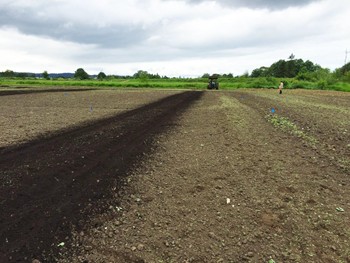 Band of darker material in ag field with tractor visible at end of the row.