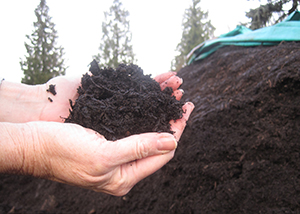 Hands holding dark compost, with a compost pile behind, showing material used under wood chips.