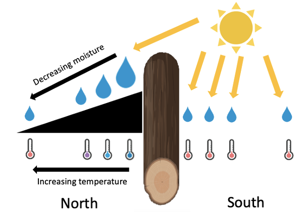 Diagram depicting patterns of soil moisture and temperature with the shade from downed woody debris. Water drops and thermometers show consistent temperature and moisture on the south side of an east-west oriented log segment, and increasing temperature and decreasing moisture as distance to the log segment increases on the north side.
