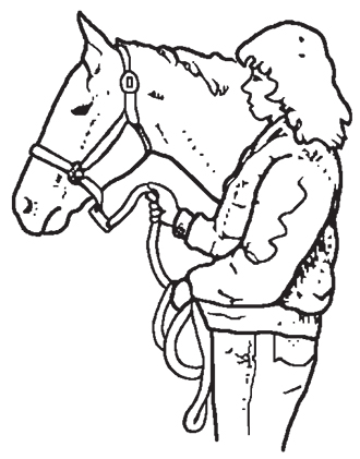 Drawing showing where to stand when leading a horse.