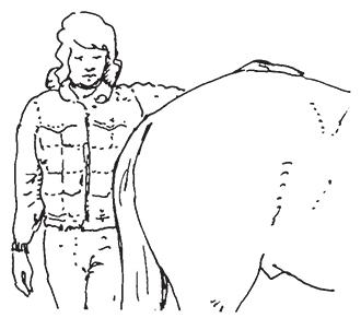 Drawing of person moving the the other side of a horse by keeping their hand on the hindquarters.