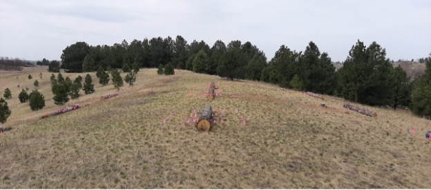 Spaced out logs on a ridge, a north-facing slope, and a south facing slope.