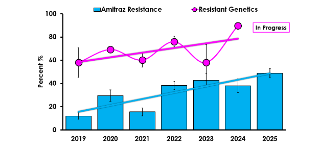 Bar and line chart showing trends from 2019 to 2025. Blue bars represent Amitraz resistance, increasing overall from about 10% in 2019 to roughly 50% in 2025, with small year to year fluctuations. A magenta line with markers represents resistant genetics, varying between about 55% and 90%, with higher values in 2020, 2022, and peaking in 2025. The y axis shows percent (0–100%). A label indicates the data are “In Progress.”