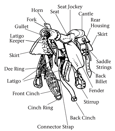 Drawing of a western saddle with parts named