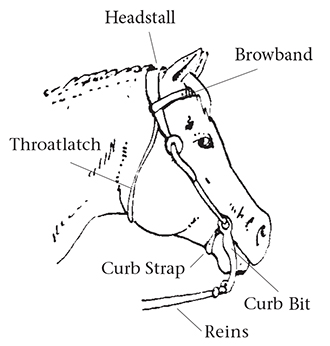 Drawing of western headgear on a home's head from the side