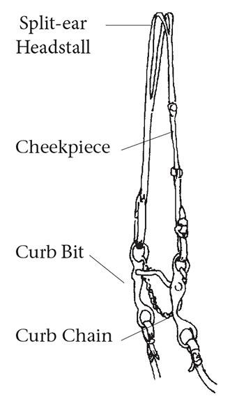 Illustration of parts of a split-ear bridle