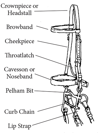 Drawing of the parts of an English headgear