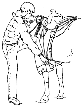 Drawing or person putting foot into stirrup