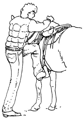 Person preparing to mount a horse with their right hand on the saddle horn.