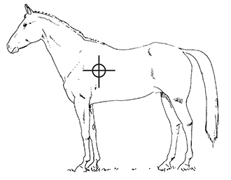 Drawing of a morse with its center of gravity marked with a plus mark