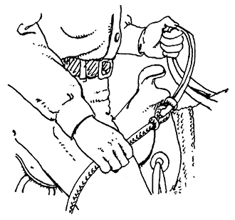 Drawing showing hand position for western riding