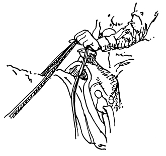 Drawing of rider holding split reins