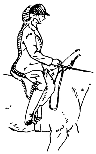 Drawing of a rider posting when a horse trots