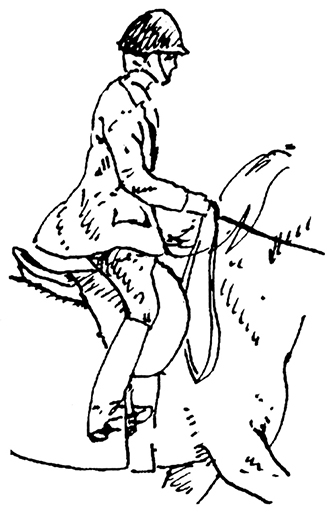 Drawing showing how the horse's motion can help a rider post