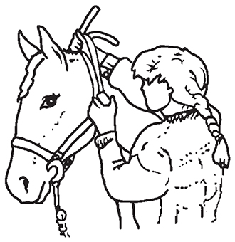 Drawing showing how to slide the noseband up and over the horse’s nose.