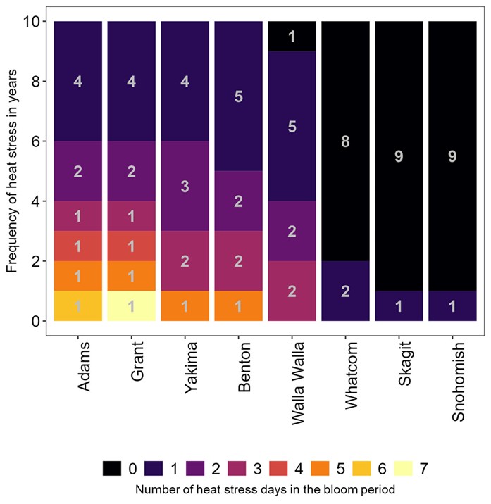 The predicted number of years (over a 10-year span) with various magnitudes of annual heat stress exposure expressed as number of days with heat stress during the bloom period within different counties that cultivate blueberry in Washington State. The y-axis is “Frequency of heat stress in years” and the x-axis is county in Washington State. Displayed for each county is the number of years and days with heat stress during the bloom period. Western Washington counties, including Skagit and Snohomish, have heat stress predicted for 1 out of 10 years and within that year heat stress is predicted to occur for only 1 day. In Whatcom County, another county in western Washington, heat stress is predicted in 2 out of 10 years and within those two years heat stress is predicted to occur for 1 day per year on average. Eastern Washington counties have a higher frequency of heat stress. Adams and Grant counties have the highest predicted frequency of heat stress exposure. Adams County is predicted as having 1 year each with 3, 4, 5, and 6 days of heat stress in the bloom period and 2 and 4 years with 2 and 1 days, respectively, with heat stress. Grant County is predicted as having 1 year each with 3, 4, 5, and 7 days of heat stress in the bloom period and 2 and 4 years with 2 and 1 days, respectively. Yakima County is predicted as having 1, 2, 3, and 4 years with the corresponding number of heat stress days in the bloom period being 5, 3, 2, and 1 days. Benton County is similar with 1, 2, 2, and 5 years with the respective number of heat stress days during the bloom period being 5, 3, 2, and 1. Walla Walla County is predicted as having 2, 2, 5, and 1 years with the number of heat stress days during bloom being 3, 2, 1, and 0, respectively.