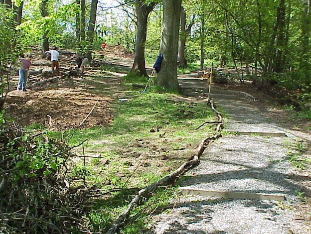 Several people working in a wooded park area to build garden beds, with logs placed along a sloped path.