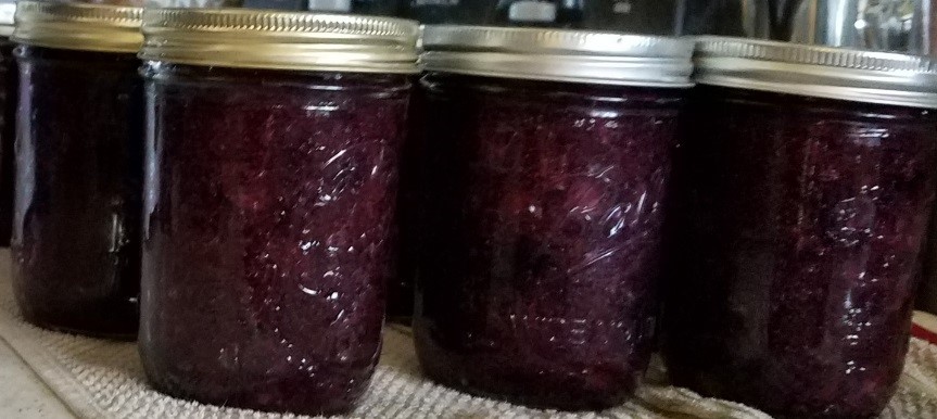 Jars of home-canned blueberries.