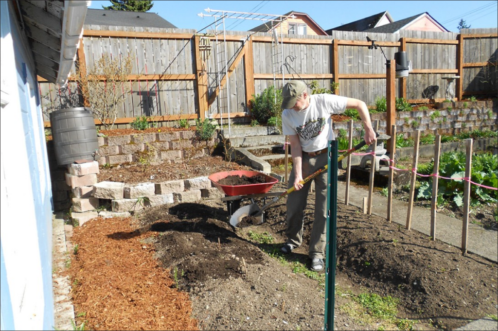 A man shovels compost onto an empty garden bed.