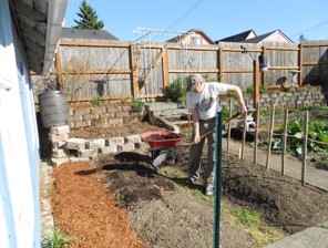 A man shovels compost onto an empty garden bed.