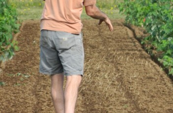 A person throwing seeds down on a cleared patch of soil.