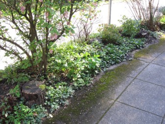 A green strip of garden borders a cement pathway.