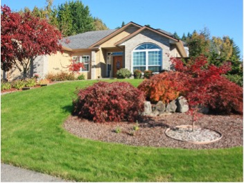 Front view of home landscaping.