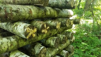 A crib stack with white criss-cross shapes at the ends of the bolts.