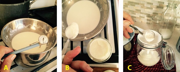 Three images on the yogurt making process. On the left, milk is heated in a double boiler while a person checks the temperature with a thermometer. In the middle, a person scoops a spoonful of yogurt starter out of a small jar to be added to the double boiler. In the right image, the yogurt is moved into a clean jar.