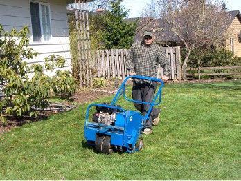 Person pushing blue aerating machine through a person's lawn.