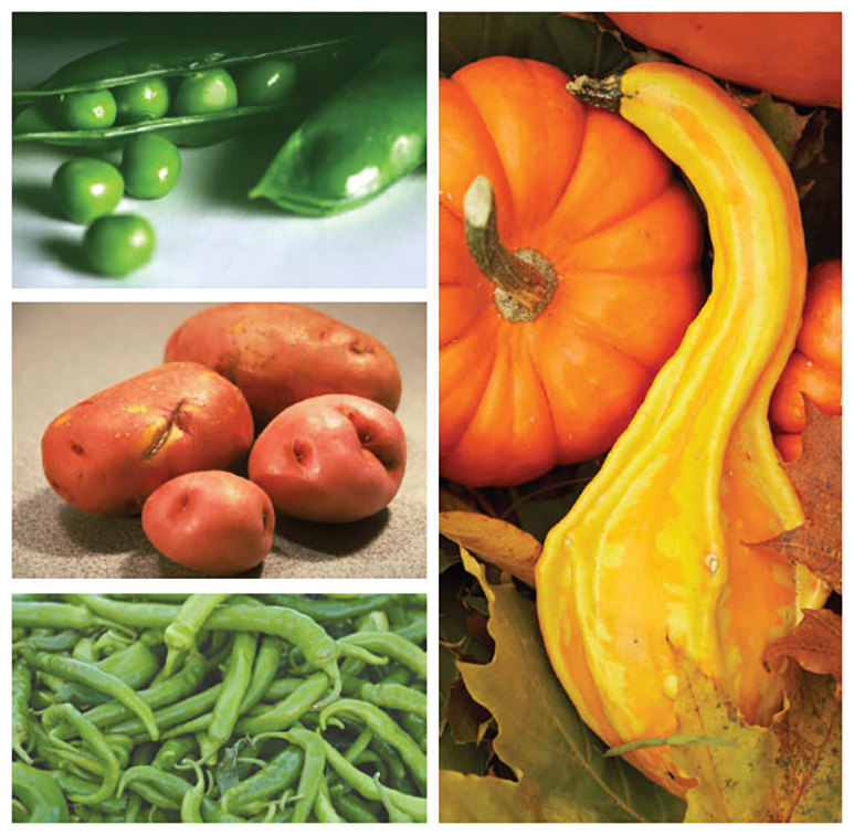 Collage of vegetables including peas, red potatoes, green beans, and pumpkins.