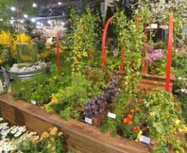 Garden with mixed vegetable plants