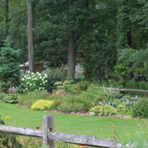 Garden with a variety of plants and trees