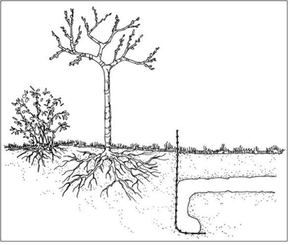 Cartoon of two voles being sprayed with a repellant