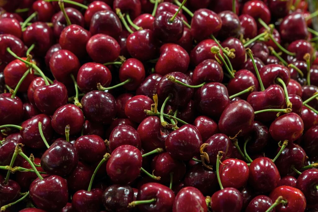 Close-up of mahogany cherries.