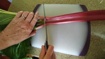 A person chops a stalk of rhubarb on a cutting board. The knife is positioned at the base of the leaves.