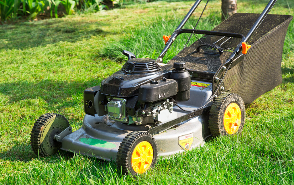 Rotary mower