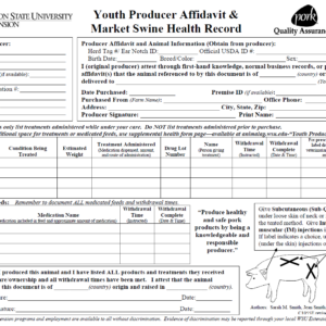 Youth Producer Affidavit & Market Swine Health Record Form.