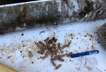 Saw dust plugs next to a partially filled and waxed bolt.