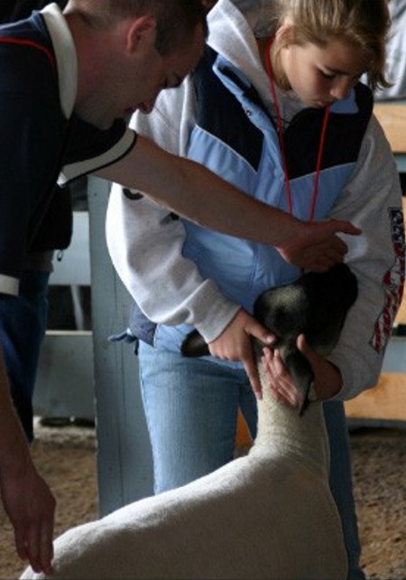 A young girl shows a lamb while a man evaluates the show.