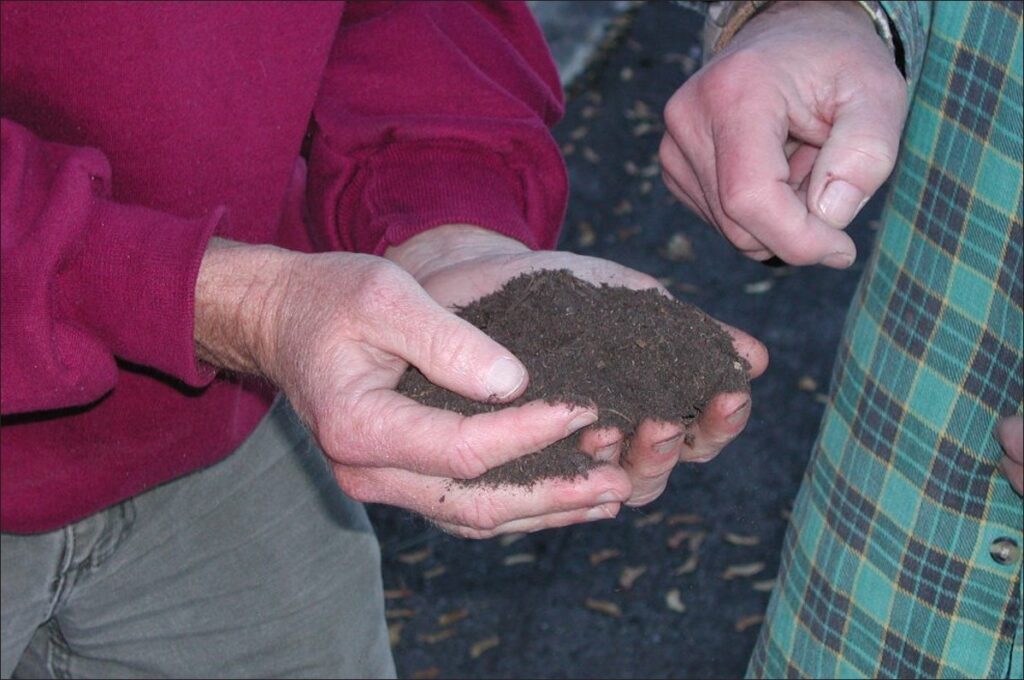 A pair of hands holds a pile of dark brown soil.
