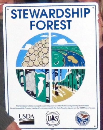 A sign that reads "Stewardship Forest" with a drawing of a pile of lumber, a river, a woodpecker on a tree, and a forest. The bottom of the sign has the USDA, US Forestry Service, and State logos.